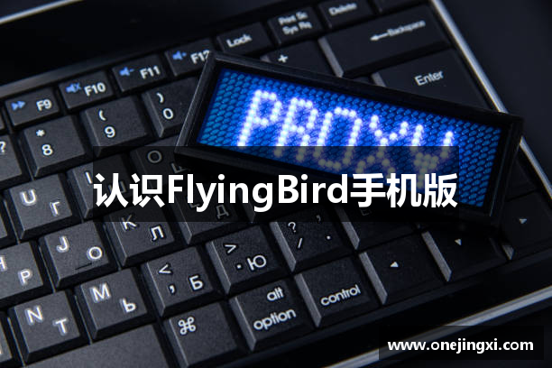 认识FlyingBird手机版